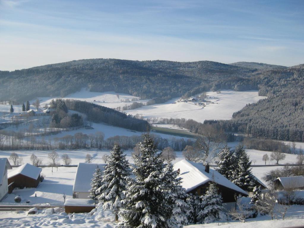 Ferienwohnungen Grill Schönberg Cameră foto