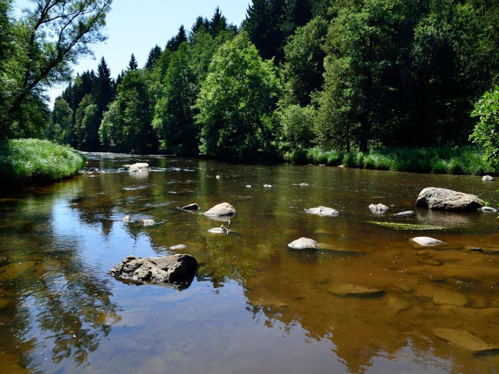 Ferienwohnungen Grill Schönberg Cameră foto
