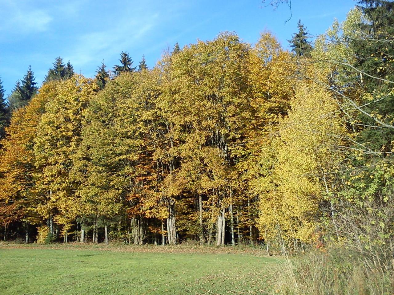 Ferienwohnungen Grill Schönberg Exterior foto
